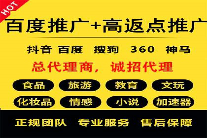 百度广告推广案例：拓展市场份额